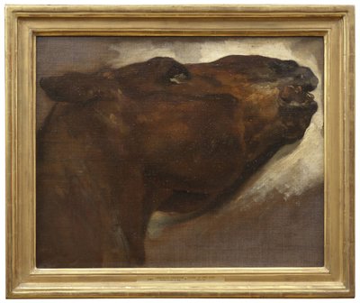 Estudo de um Cavalo Morto de Theodore Gericault