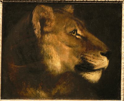 Tete de lionne. Cabeça de leoa ... de Theodore Gericault