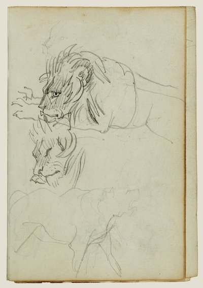 Três estudos de leões de Theodore Gericault