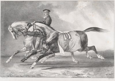 Dois cavalos cinzentos malhados a fazer exercício de Theodore Gericault