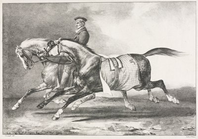 Exercício de dois cavalos malhados de Theodore Gericault