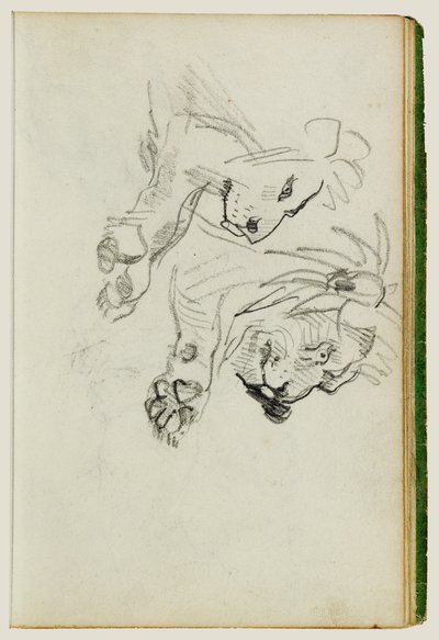 Dois estudos sobre leões de Theodore Gericault