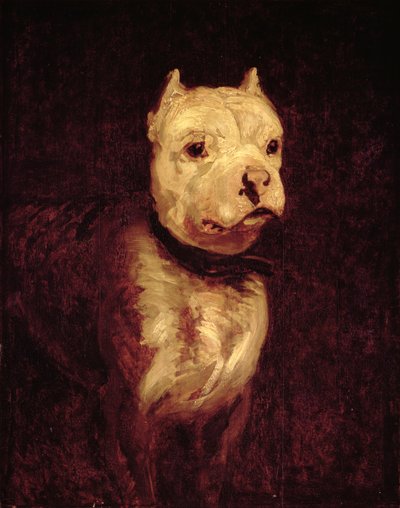 Imagem desconhecida de Theodore Gericault