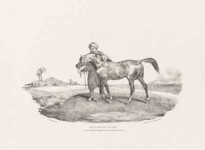 Vários temas inspirados na vida real e esculpidos em pedra: Um cavalo árabe de Theodore Gericault