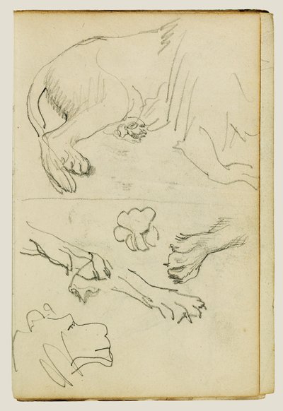 Vários estudos de perna, patas e cabeça de leão de Theodore Gericault