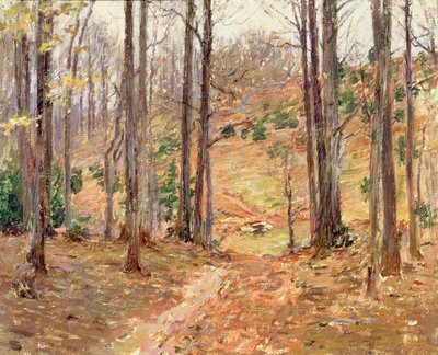 Virginia Woods, 1893 de Theodore Robinson