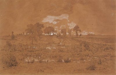 Paisagem da noite com um pântano de Theodore Rousseau