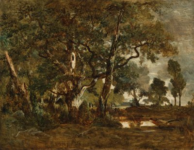 Floresta de Fontainebleau, aglomerado de árvores altas com vista para a planície de Clair-Bois no limite de Bas-Bréau de Theodore Rousseau