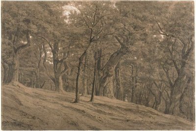 Na floresta de Fontainbleau de Theodore Rousseau