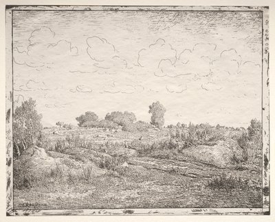 A Planície das Plantas em Biau de Theodore Rousseau
