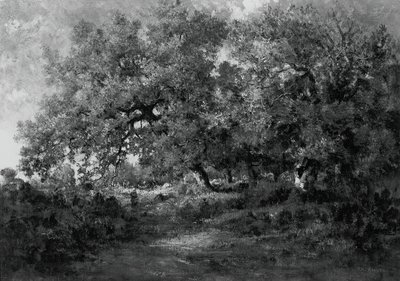 Paisagem, c. 1860. de Theodore Rousseau
