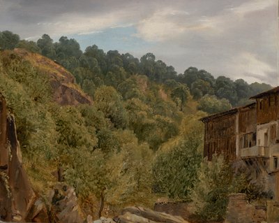 Campo de Auvergne de Theodore Rousseau