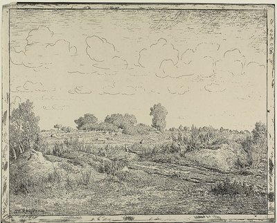 Planície em Plante em Biau de Theodore Rousseau