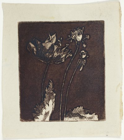 Últimas papoulas de Theodore Roussel