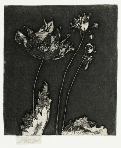 Últimas papoulas de Theodore Roussel