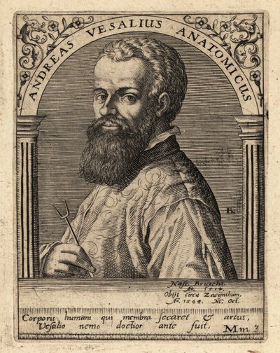 Andreas Vesalius, médico flamengo, anatomista de Theodore de Bry