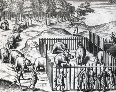 Caça ao elefante no reino de Pegu, hoje Myanmar, por Theodor de Bry (1528-1598), gravura de Theodore de Bry
