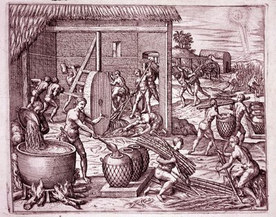 História da América: colheita de cana de açúcar e produção de açúcar por escravos indígenas que trabalham para os conquistadores espanhóis (Engraving de Theodore de Bry