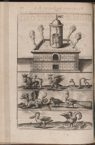 Ilustração para avrevs Tripvs, isto é, os três mais seleto .. químicos Parte de 1618 de Theodore de Bry