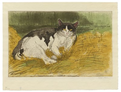 Gato velho preto e branco na grama de Théophile Alexandre Steinlen