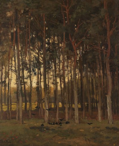 Vista no Bosque de Theophile de Bock