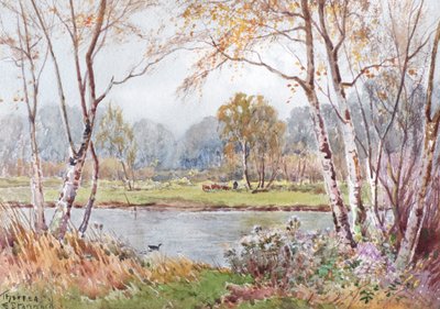 Dia de sol no rio Ouse (aguarela) de Theresa Sylvester Stannard