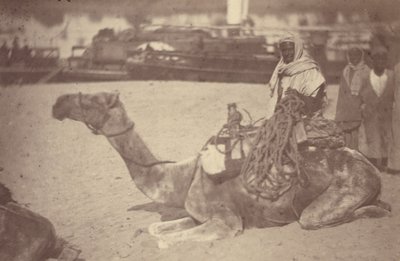 [ Um homem norte-africano num camelo na margem do Nilo]. de Théodule Devéria