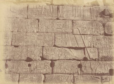 Close-up de inscrições e esculturas hieroglíficas (Lista das Nações Derrotadas), Karnak de Théodule Devéria