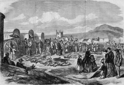 Mercado de marfim e peles em Grahamstown, Albânia, Colónia do Cabo de Thomas (after) Baines