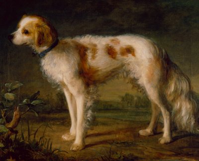 Um Spaniel em uma Paisagem (óleo) de Thomas (circle of) Gainsborough