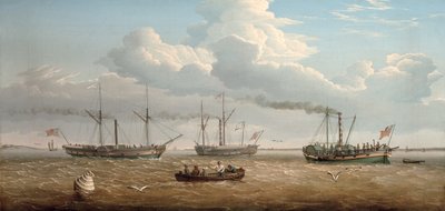 Três navios a vapor com pás, "Kingston", "Prince Frederick" e "Calder" de Selby em Hull Roads, c.1823 (óleo sobre tela) de Thomas A. Binks