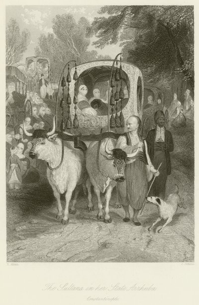 A Sultana em seu estado Arrhuba de Thomas Allom