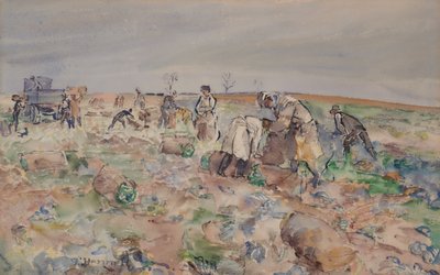 No campo de batata de Thomas Barclay Hennell