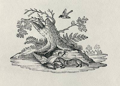 Um Civet com um Galo da "História dos Quadrúpedes", 1790 de Thomas Bewick