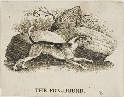 Fox Hound de Thomas Bewick