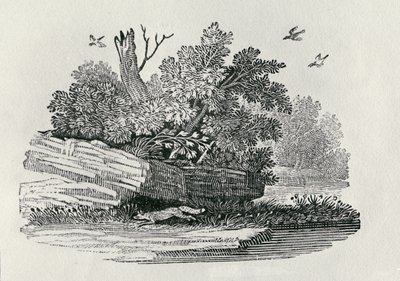 Fox escapando de "A História Geral dos Quadrúpedes", publicada em 1790 (gravura em madeira) de Thomas Bewick