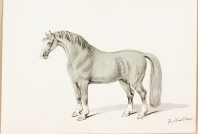 O cavalo preto (tinta no papel) de Thomas Bewick