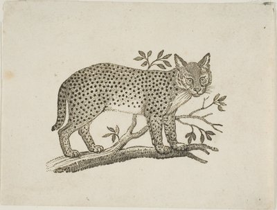 O Servo de Thomas Bewick