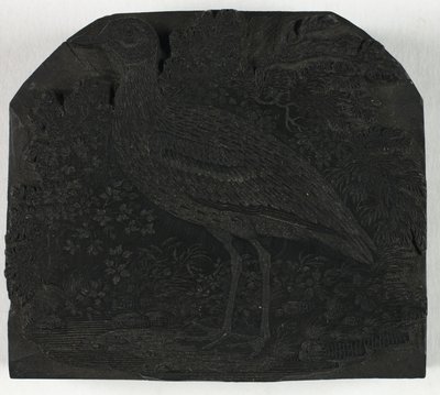 Woodblock para The Great Plover, de A History of British Birds de Thomas Bewick
