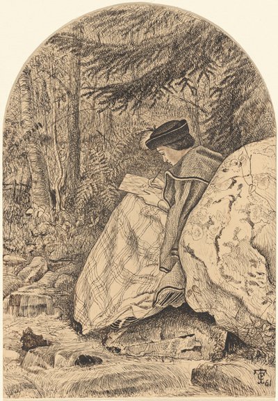 Desenhando da Natureza de Thomas C. Farrer