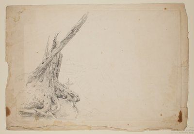 Tronco quebrado de uma árvore (lápis sobre papel) de Thomas Cole