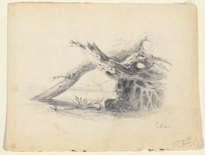 Esboço de duas árvores mortas de Thomas Cole