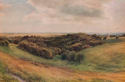 Parque Arundel, 1874 de Thomas Collier