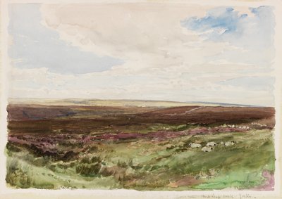 Moorland perto de Hart Leap Well, Yorkshire (aguarela sobre papel) de Thomas Collier