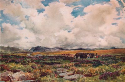Stacking Peat, Festiniog, Gales do Norte, 1881 de Thomas Collier