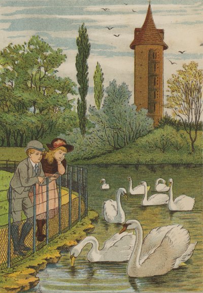 Paris: os cisnes (cor litho) de Thomas Crane
