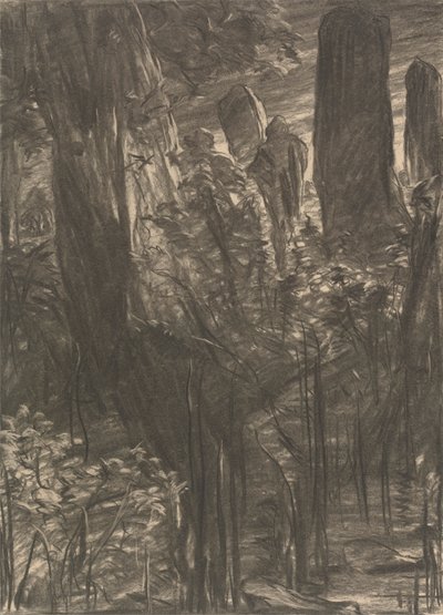 Um bosque de árvores de Thomas Dalziel