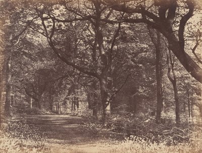 Cena de madeira, Norton, Cheshire, 1856. de Thomas Davies