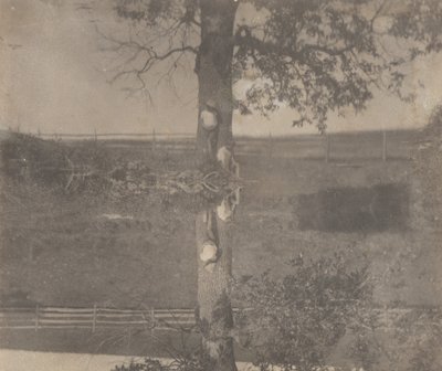 [Crianças Crowell em Avondale, Pensilvânia] de Thomas Eakins