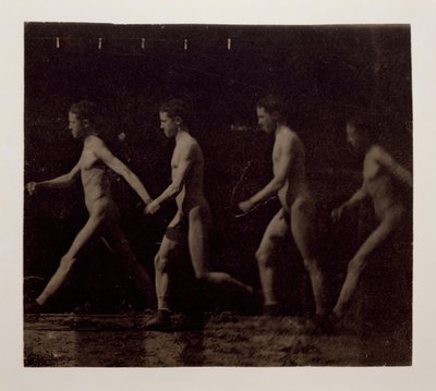Marey Wheel Fotografias de Modelo Não Identificado, 1884. de Thomas Eakins